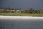 resIMG_20190720_073348_1087.JPG